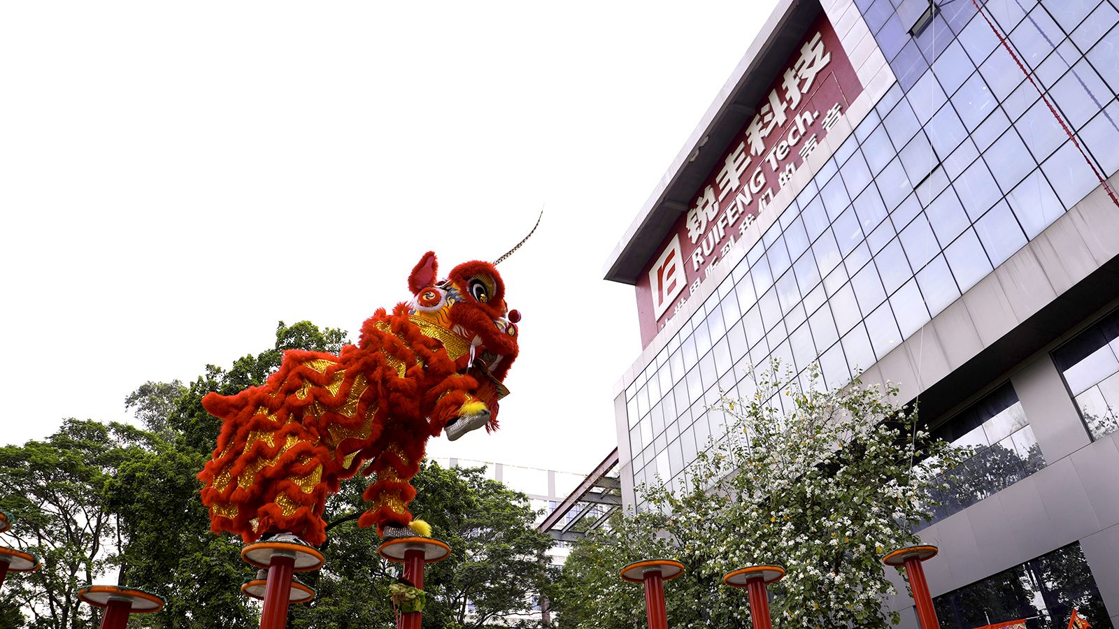Lion Dance Brings Brilliance to Celebrate the New Year | Ruifeng's Grand Opening Ceremony a Complete Success